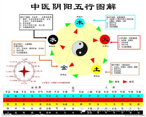 金生木|五行相生相剋:五行,四季五行,相生相剋,概念對應,五行。